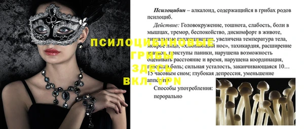 амф Белоозёрский