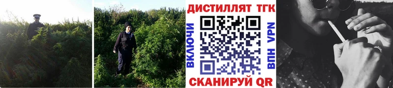 сайты даркнета официальный сайт  Печора  Дистиллят ТГК жижа 